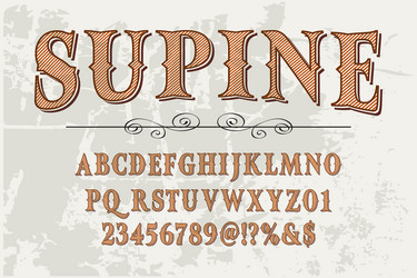 Retro Script Lettering Typeface vector image