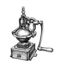 vintage spice grinder ink sketch vector image