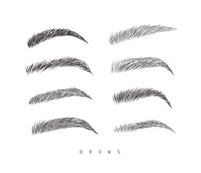 eyebrows collection set in different shape form vector image