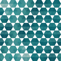 Geometric pattern of hexagons triangles vector