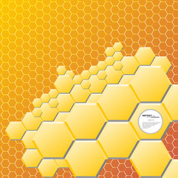 Modern Hexagon Pattern Background vector image