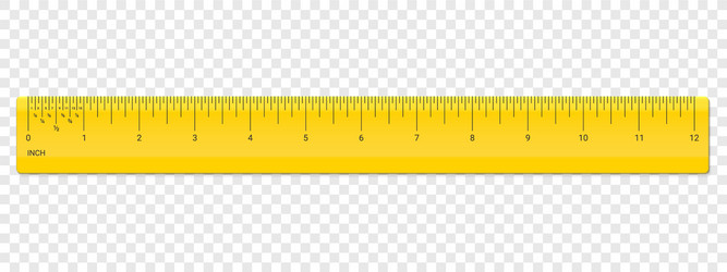 Ruler inch scale plastic measurement vector