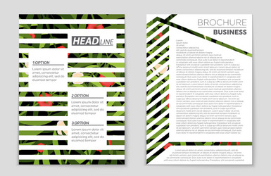 abstract layout background set for art vector image