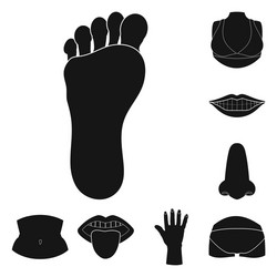 isolated object of body and part symbol set vector image