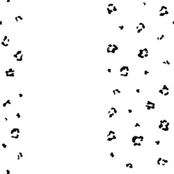 seamless leopard pattern print vector image