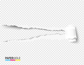 Torn Paper Scroll with Hole vector image
