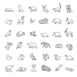 Diverse Wildlife Collection Vector Image