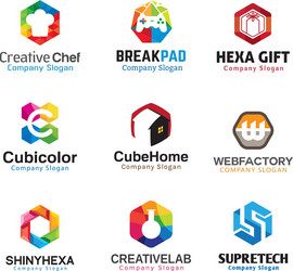 Geometric Hexagonal Patterns vector image