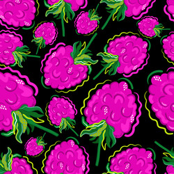 raspberry pattern vector image