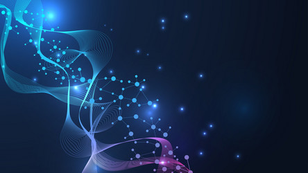 global network connection website header or banner vector image