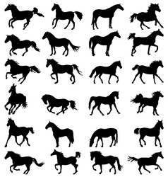 Horse Silhouettes Collection Vector Image