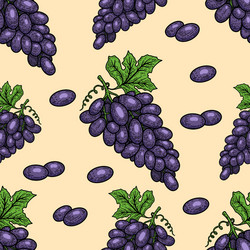 seamless pattern with grape design element vector image