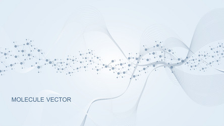 modern abstract molecules structure for science vector image