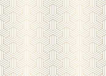 seamless geometric pattern with hexagon grid line vector image