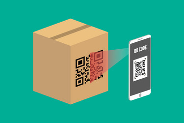 QR Code and Barcode Scanning App vector image