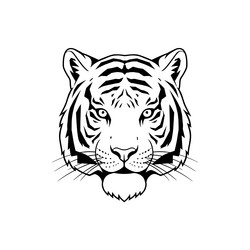 black and white of tiger head isolated Vector Image