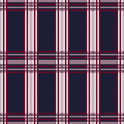 seamless rectangular pattern in blue grey and red vector image