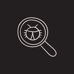 Bug under magnifying glass sketch icon vector