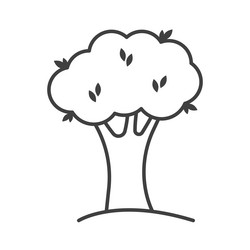 deciduous tree icon a simple linear image vector image