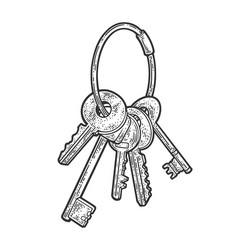 Sketch hand drawn bunch of keys on white Vector Image