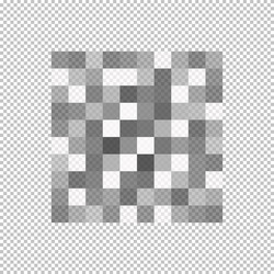 Gray Pixel Blur Censor Effect vector image