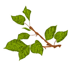 branch of apple tree low-polygon vector