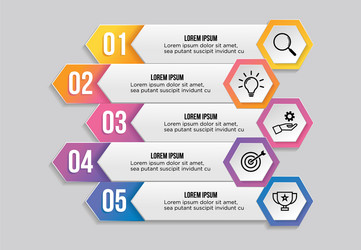 infographic design template with options steps vector image