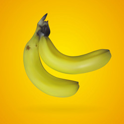 realistic mesh banana with yellow backgrounds vector