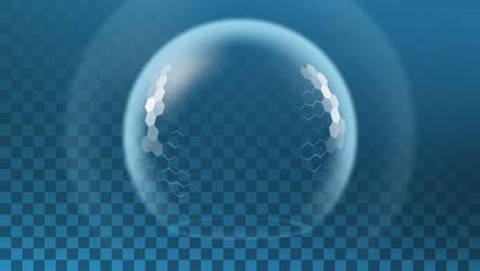 bubble shield ball with hexagon pattern plates vector image