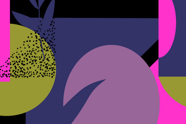 abstract background withe various lines andfiguras vector image