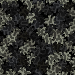 digital camouflage seamless pattern abstract army vector image