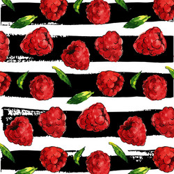 Watercolor Raspberry Pattern vector image