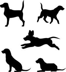 Dog Silhouettes - Beagle Collection Vector Image