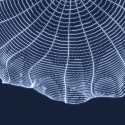 cobweb network background connection structure vector image