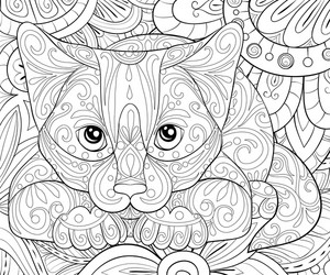 Floral Cat Coloring Page Royalty Free Vector Image