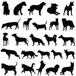 Dog Silhouettes Collection Vector Image