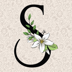 Alphabet small letter o latter art alphabet font Vector Image