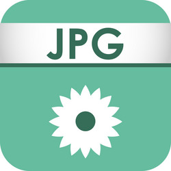 file type icon vector image