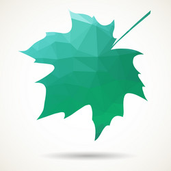 triangular maple leaf vector image