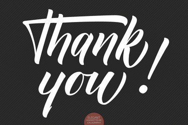 Hand drawn lettering thank you elegant vector