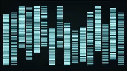 design color big genomic data visualization vector image