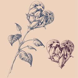 Vintage inspired engraved flowers heart shaped Vector Image