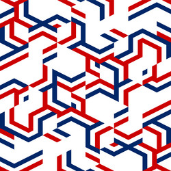 Red and Blue Geometric Pattern vector image