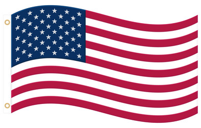 Waving American Flag Vector Image