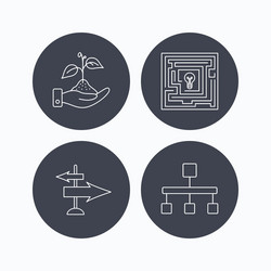 hierarchy save nature and direction arrow icon vector image