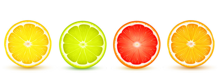 Citrus slice realistic set Royalty Free Vector Image