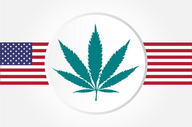Cannabis and USA Flag Vector Image