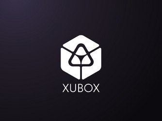 abstract geometric triangle in hexagonal cube box vector image