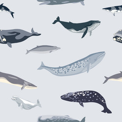 simple seamless pattern with different whales vector image