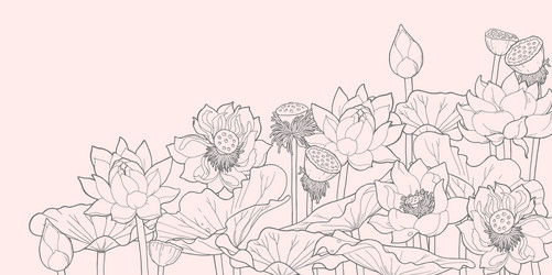 Lotus Thickets - Asian Floral Vector Image